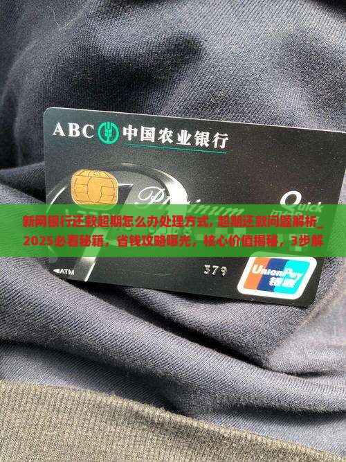 新网银行还款超期怎么办处理方式