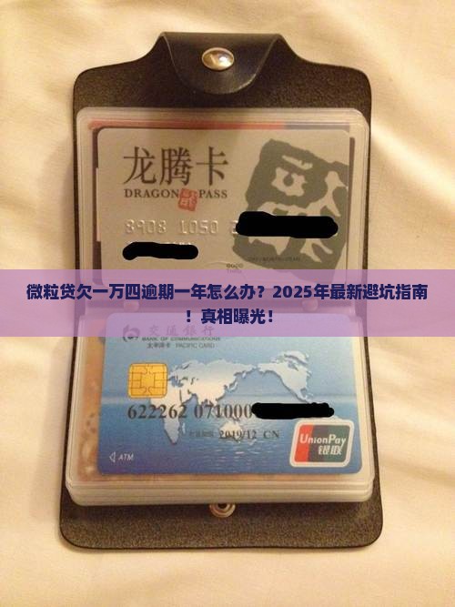 微粒贷欠一万四逾期一年怎么处理