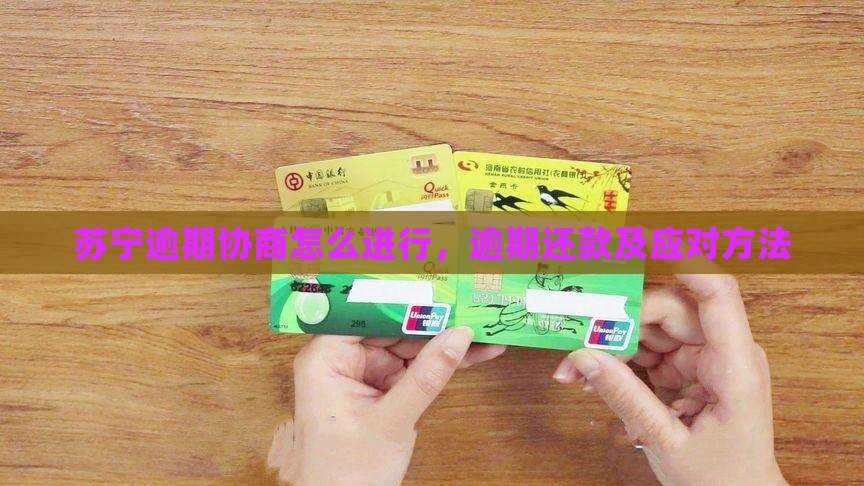 苏宁逾期协商怎么进行