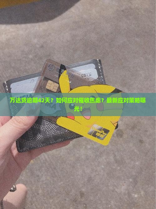 万达贷逾期42天