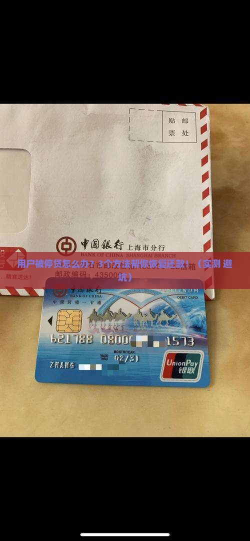印象钱包贷款暂停还款怎么解决