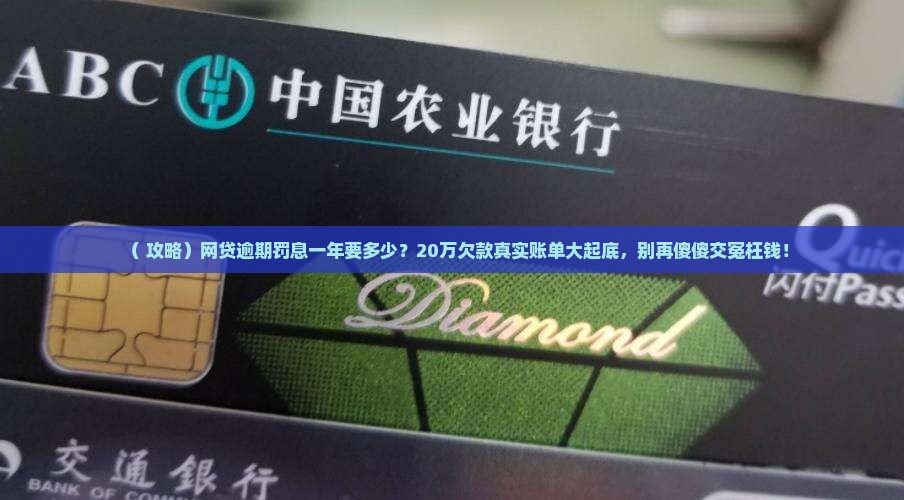 二十万网贷逾期罚息一年多少钱