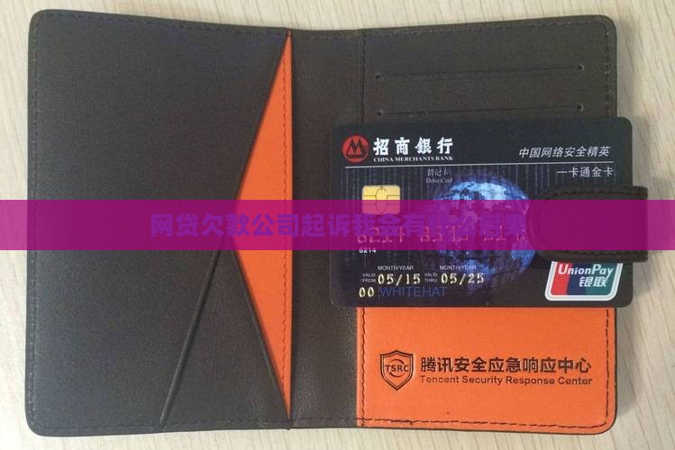 网贷欠款公司起诉我会有什么后果