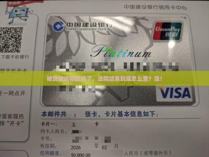 贷款逾期被起诉了怎么查询结果