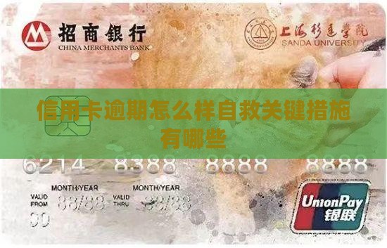 信用卡逾期怎么样自救关键措施有哪些