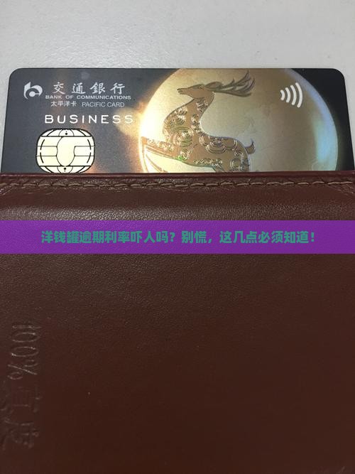 洋钱罐逾期利率是多少你需要了解的事项
