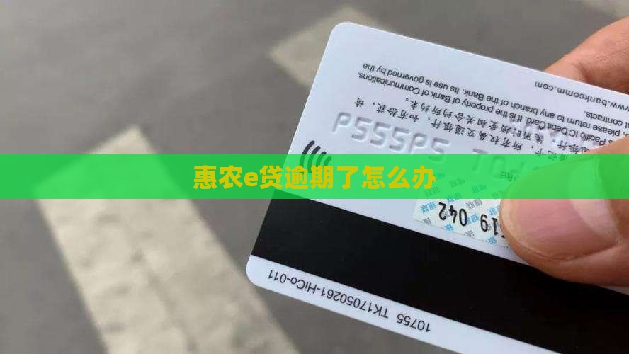 惠农e贷逾期过怎么办