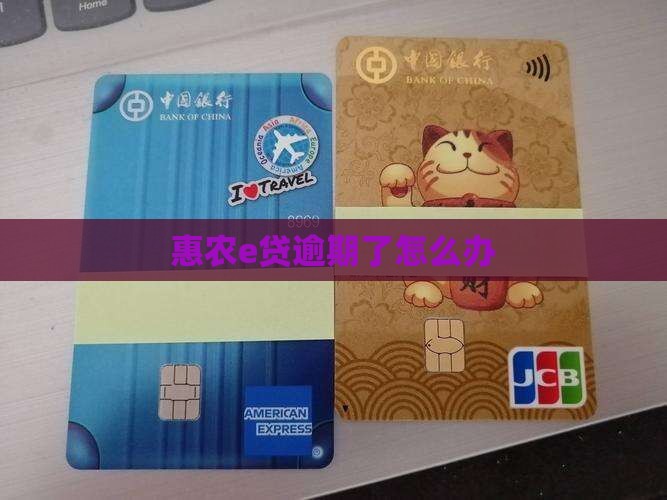 惠农e贷逾期过怎么办