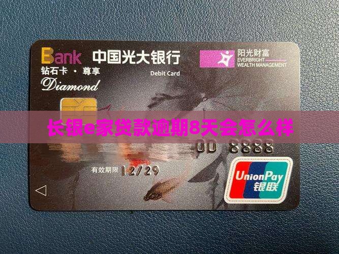 长银e家贷款逾期8天会怎么样