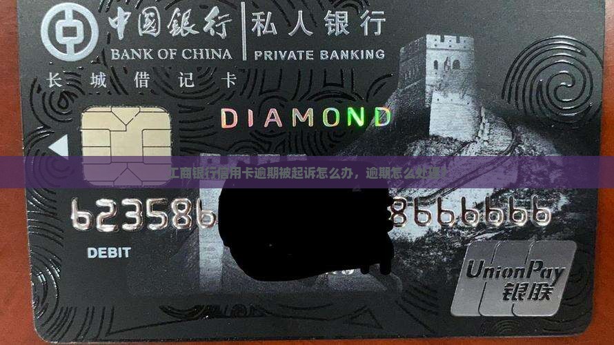 丽江工商银行信用卡逾期起诉