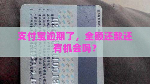 支付宝逾期多久全额还款