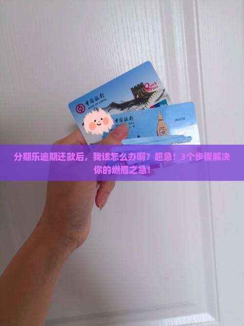 分期乐逾期了还款后怎么解决