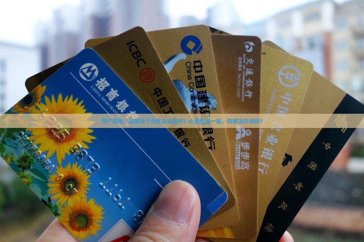 翼支付逾期半个月会有什么后果
