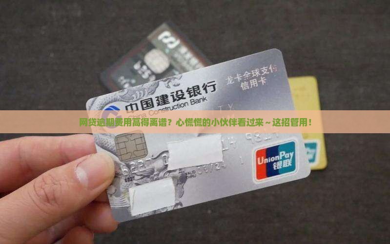 网贷逾期费用太高怎么办解决方法
