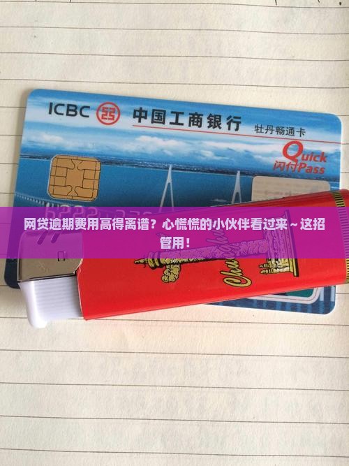 网贷逾期费用太高怎么办解决方法