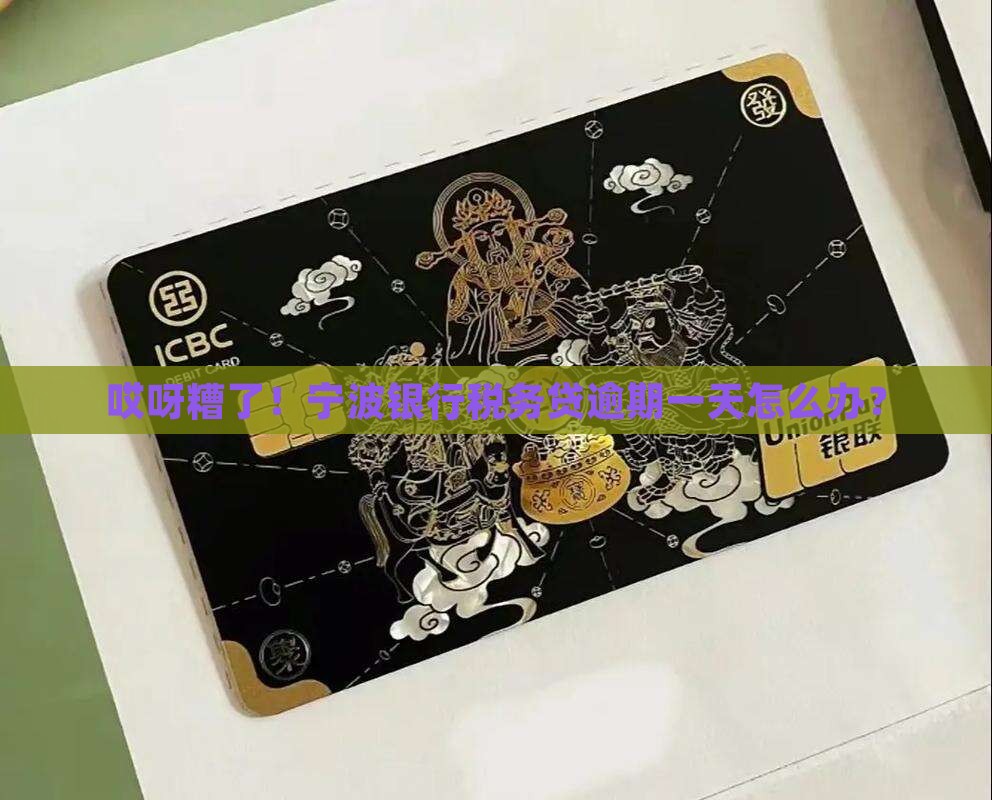 宁波银行税务贷逾期一天如何处理