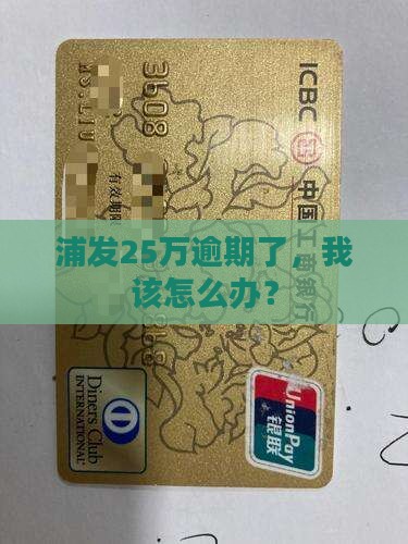 浦发25万逾期如何处理