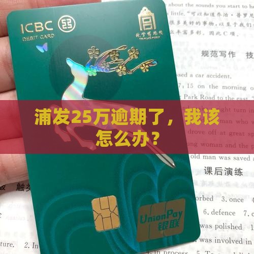 浦发25万逾期如何处理