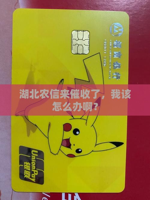 湖北农信上门催收怎么办
