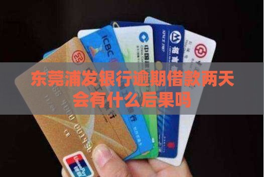 东莞浦发银行逾期借款两天会有什么后果
