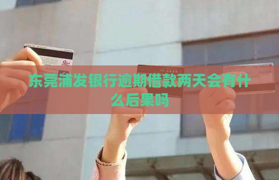 东莞浦发银行逾期借款两天会有什么后果