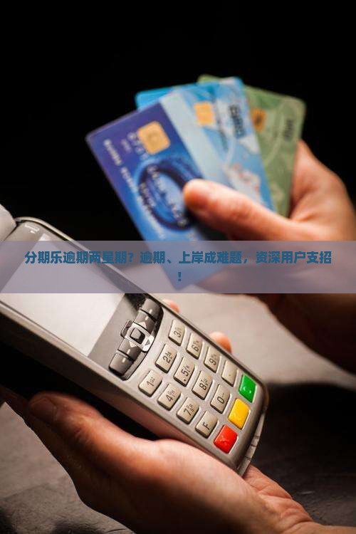 分期乐逾期两星期