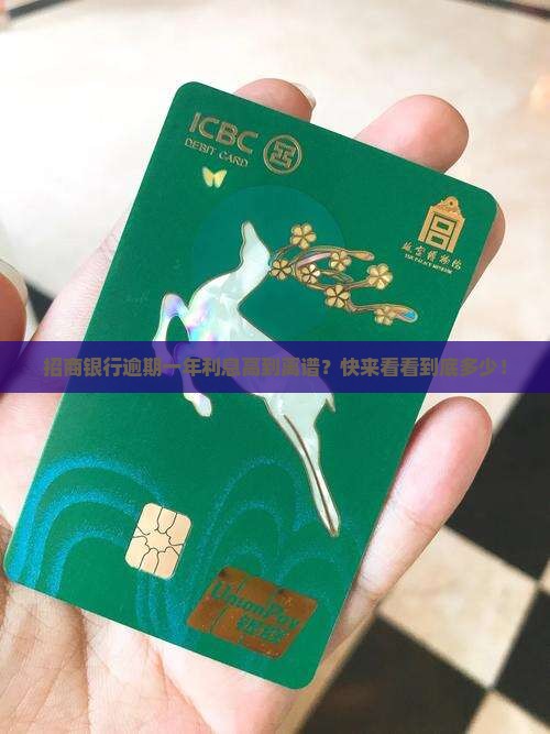 招商银行逾期一年的利息是多少