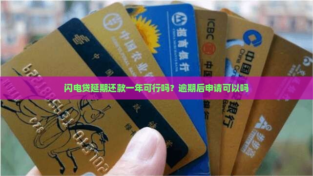 闪电贷延期还款一年可行吗