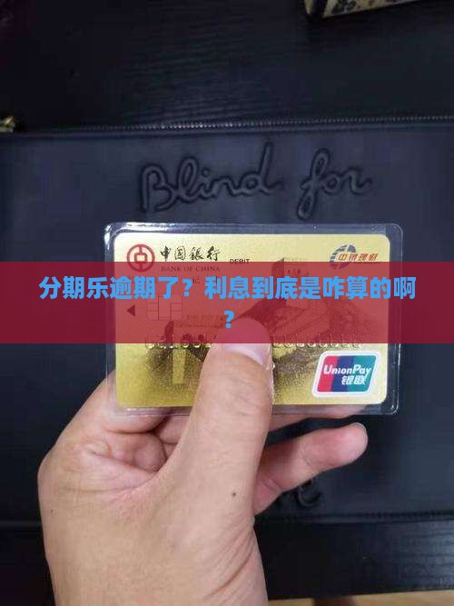 分期乐逾期还款利息该如何计算