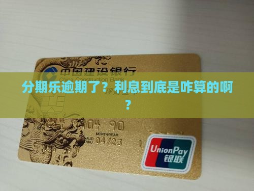 分期乐逾期还款利息该如何计算