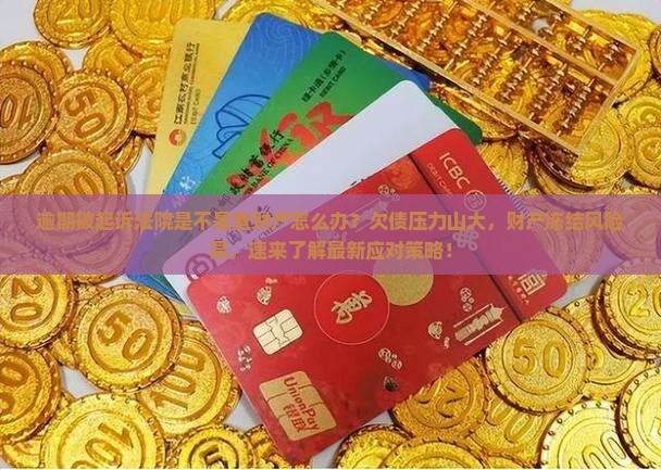 逾期被起诉法院是不是查财产怎么办