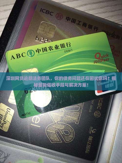 深圳网贷逾期法务团队