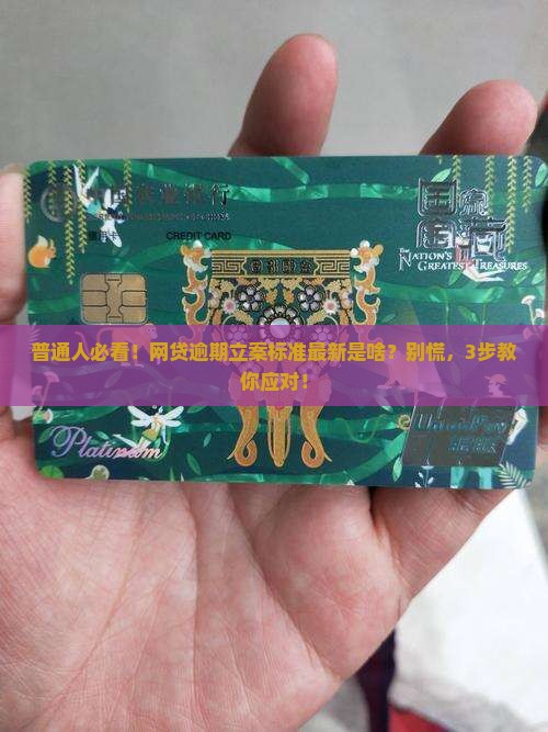 网贷逾期立案标准最新