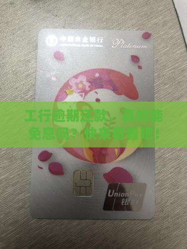 工行的逾期有免息还款的方式吗