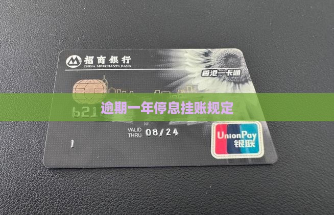 逾期一年停息挂账规定