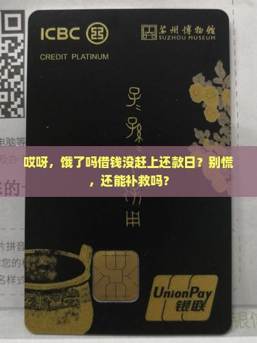 饿了吗借钱逾期怎么办