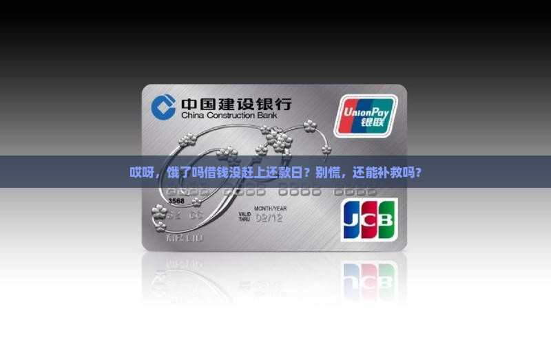 饿了吗借钱逾期怎么办