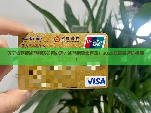 苏宁省薪借逾期经历如何处理