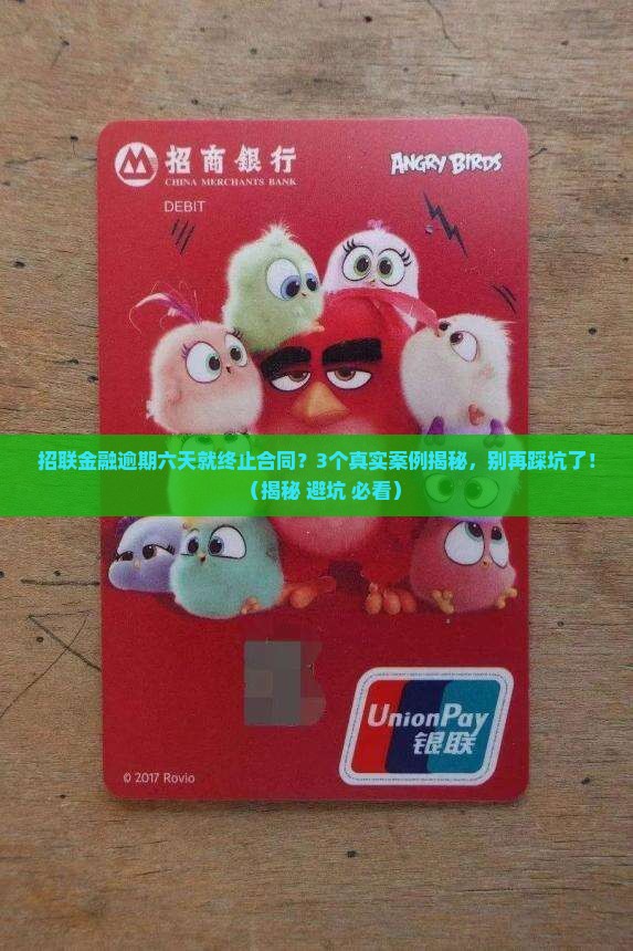 招联金融逾期六天终止合同