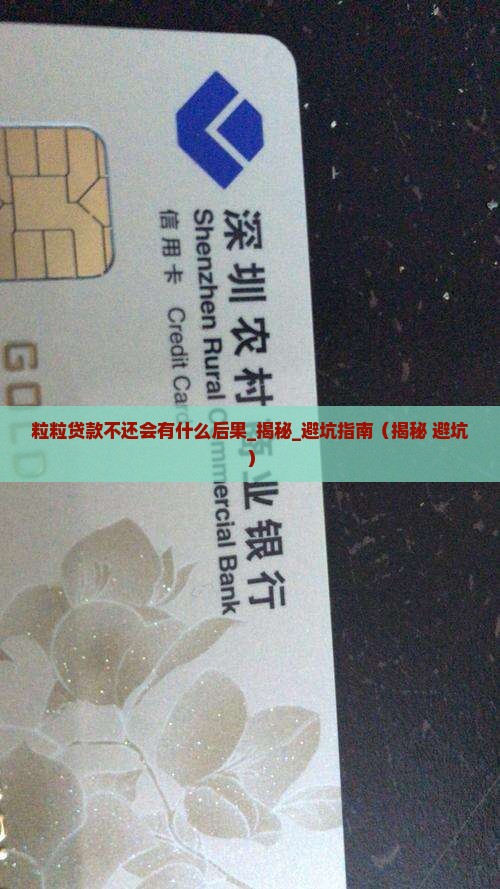 粒粒贷款不还会有什么后果