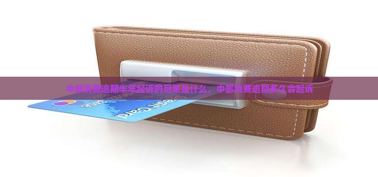 中邮消费逾期半年起诉的后果是什么