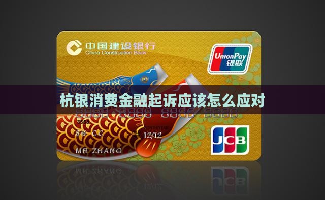 杭银消费金融起诉应该怎么应对