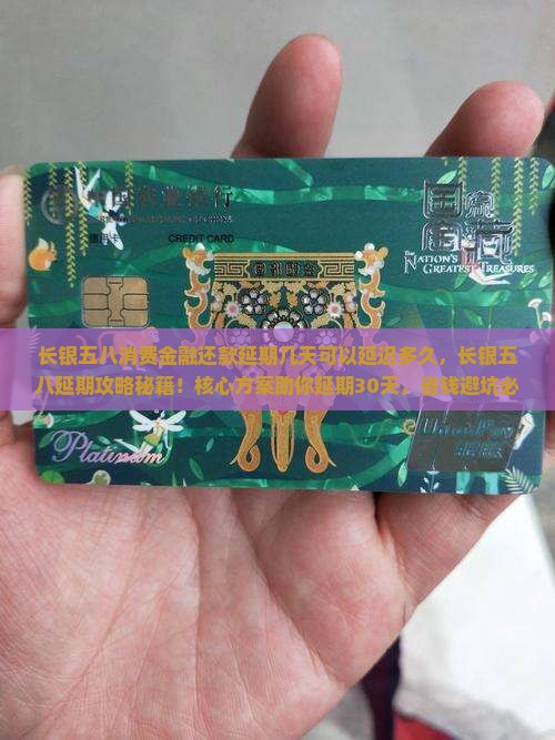 长银五八消费金融还款延期几天可以延迟多久