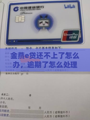 金燕e贷还不上咋办