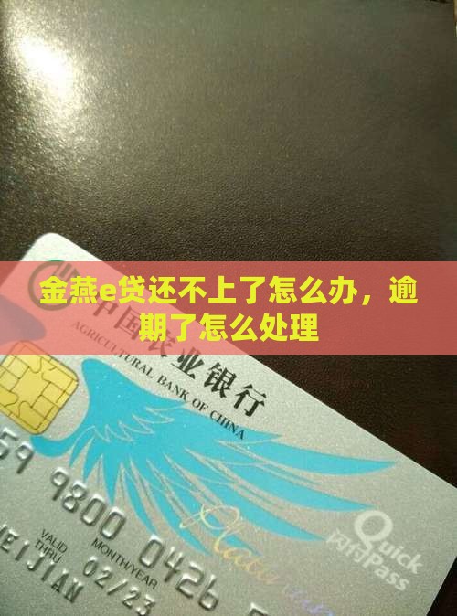 金燕e贷还不上咋办