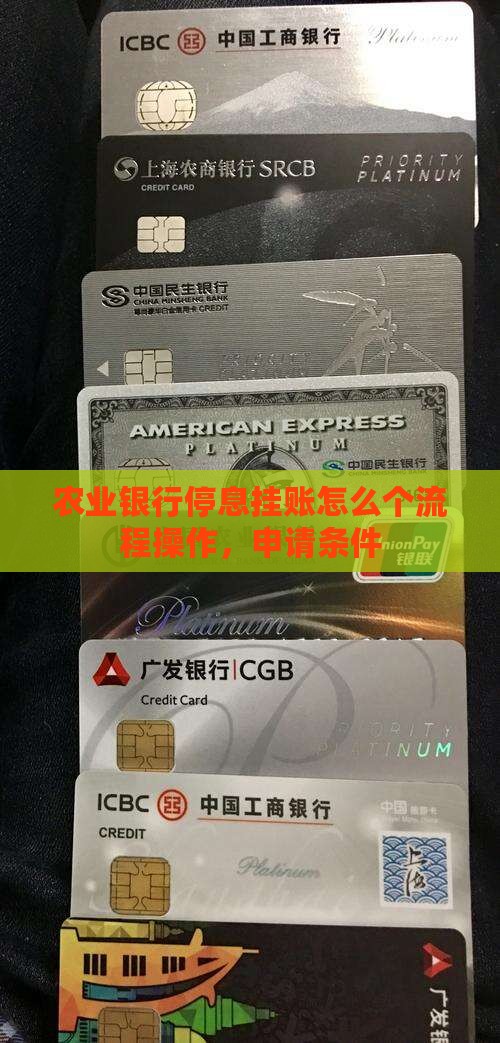 农业银行停息挂账怎么个流程操作