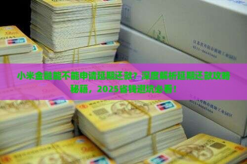 小米金融能不能申请延期还款
