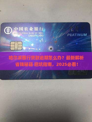 哈尔滨银行贷款逾期怎么办处理方式
