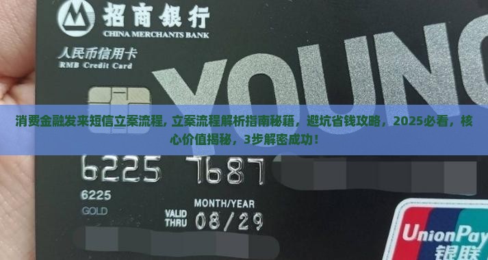 消费金融发来短信立案流程