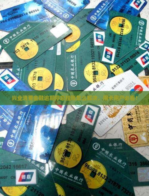 兴业消费金融逾期停息挂账如何解决